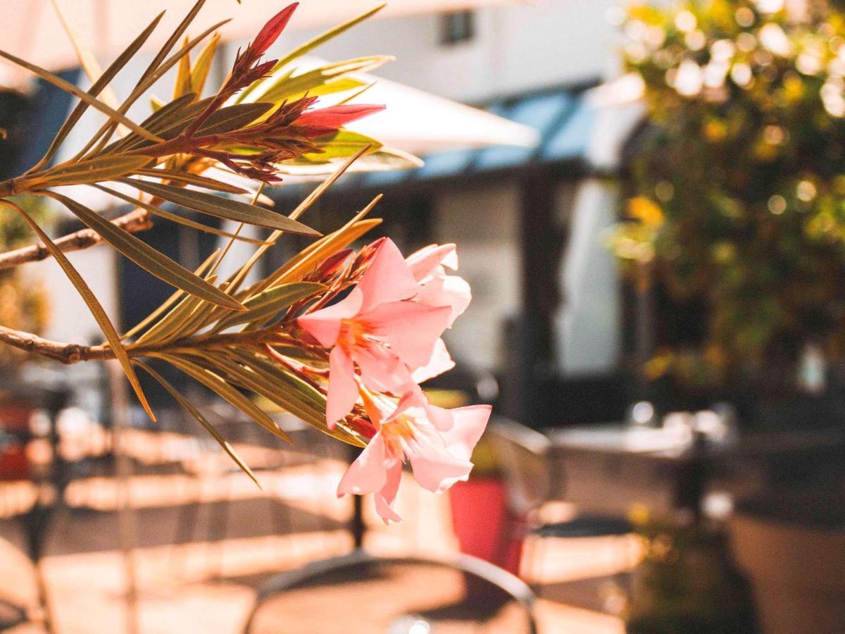 Ibis Styles Toulouse Labege Otel Dış mekan fotoğraf
